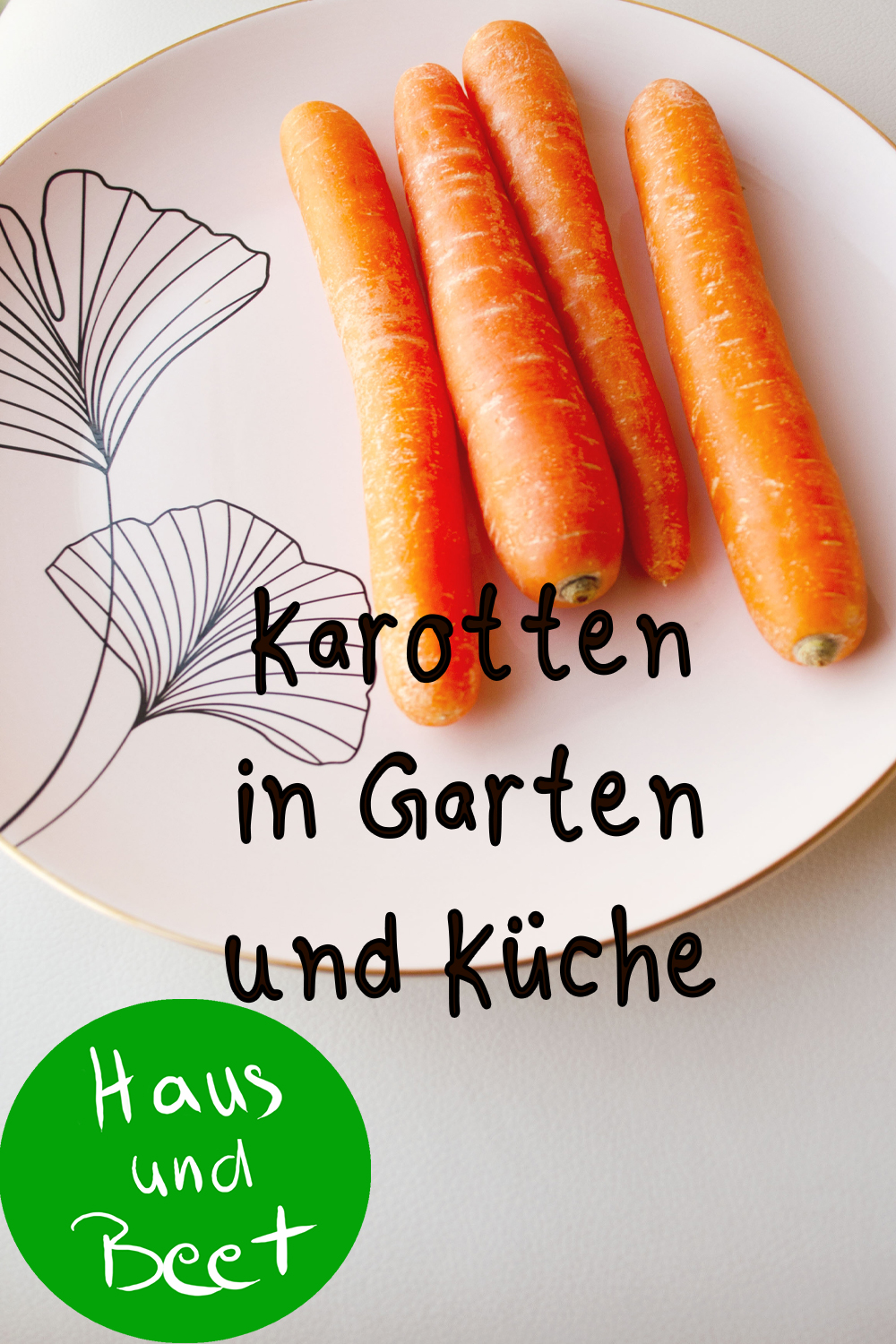 Karotte – In deinem Garten und in der Küche - Haus und Beet