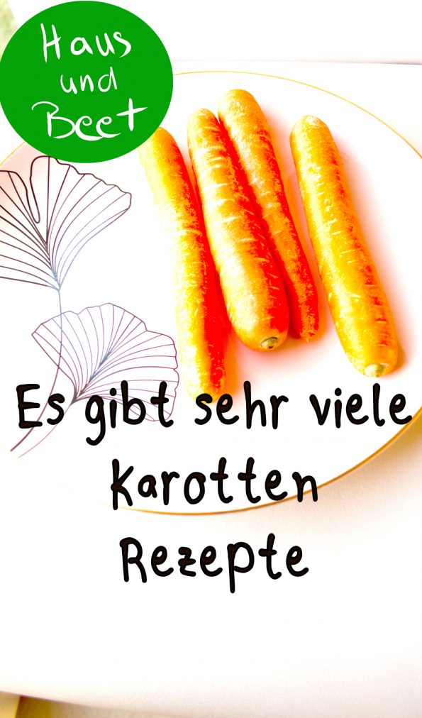 Karotten Rezepte