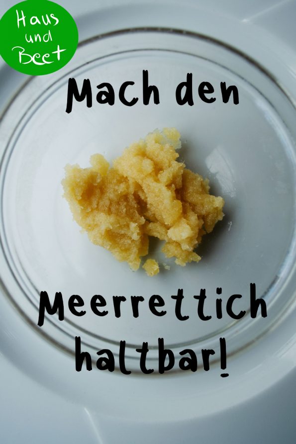 Meerrettich Paste