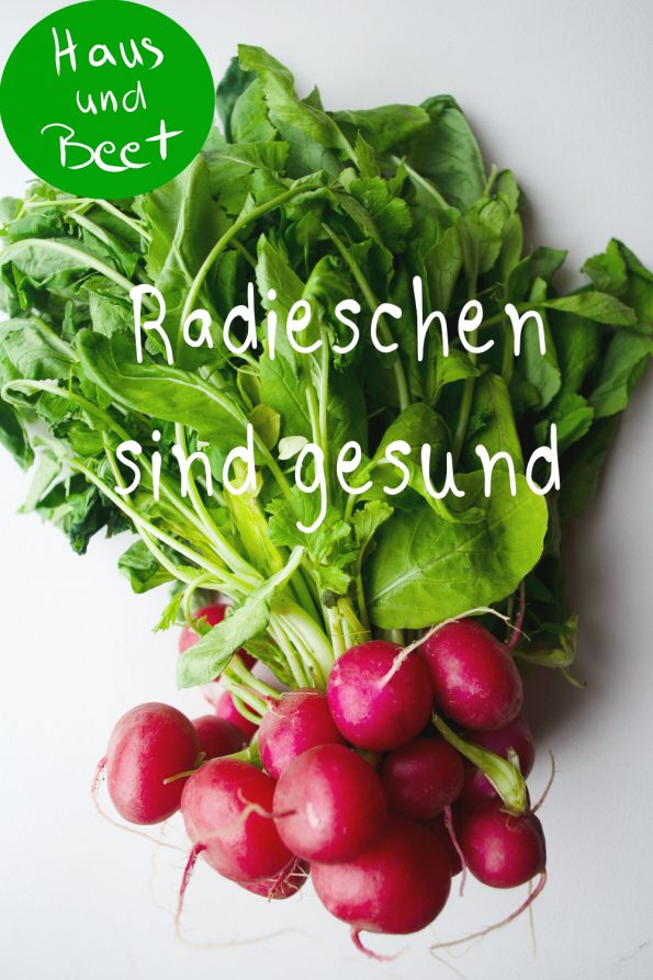 Radieschen gesund