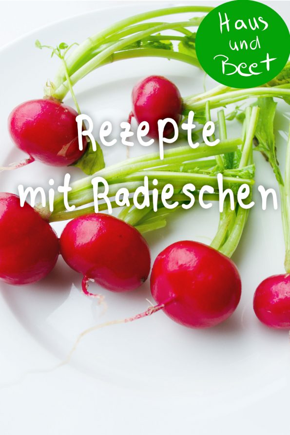 Radieschen Rezepte