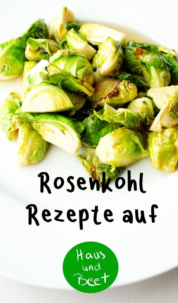 Rosenkohl Rezepte