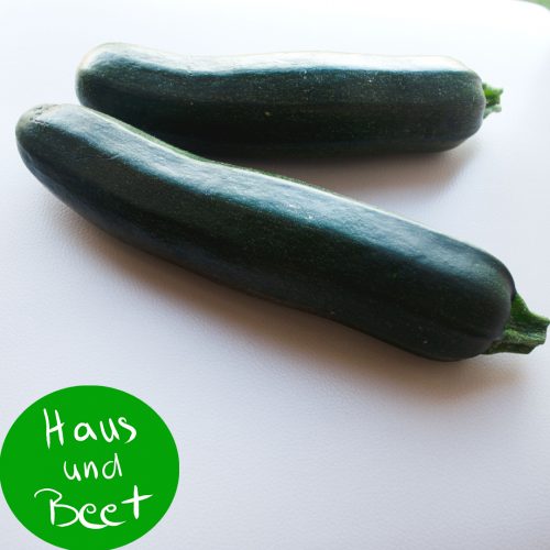 Zucchini Rezepte