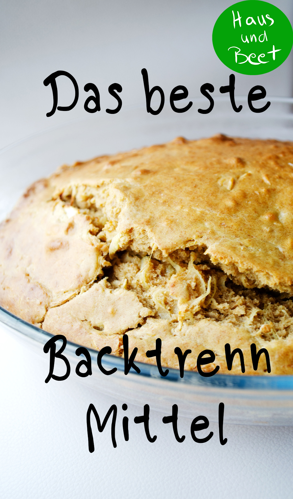 Zwiebelbrot vegetarisch