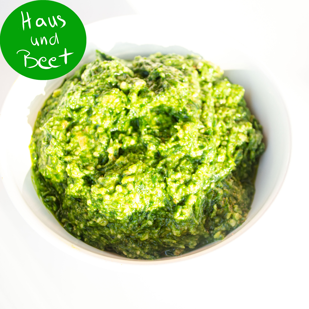 Bärlauchpesto