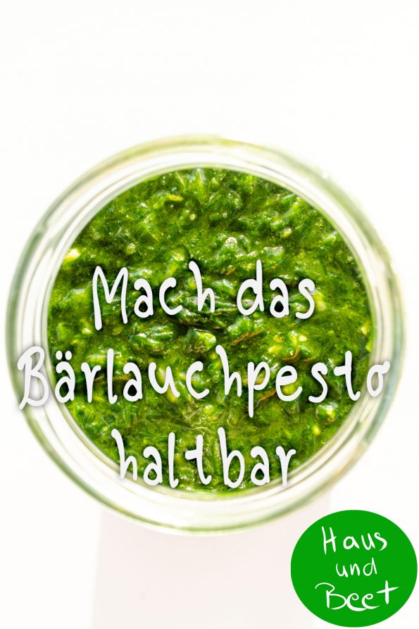 Bärlauchpesto haltbar machen