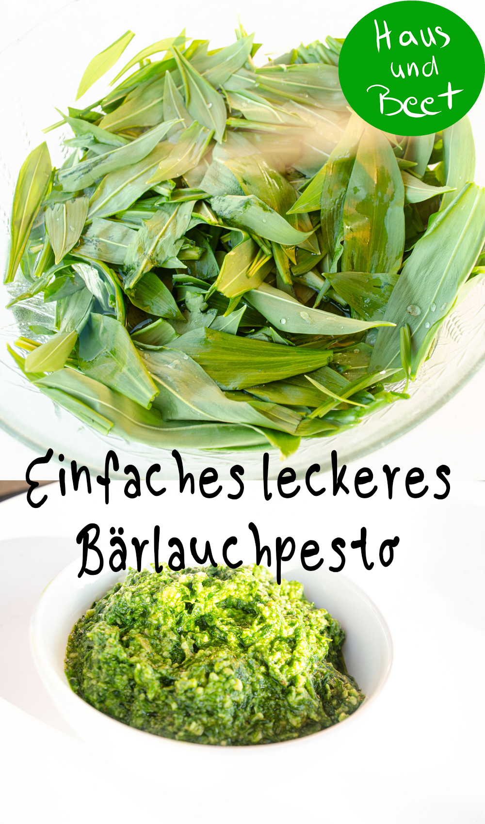 Bärlauchpesto aus den Bärlauch Blättern