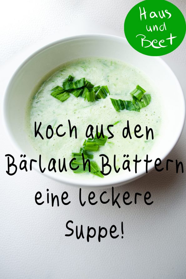 Bärlauchsuppe leckeres Rezept