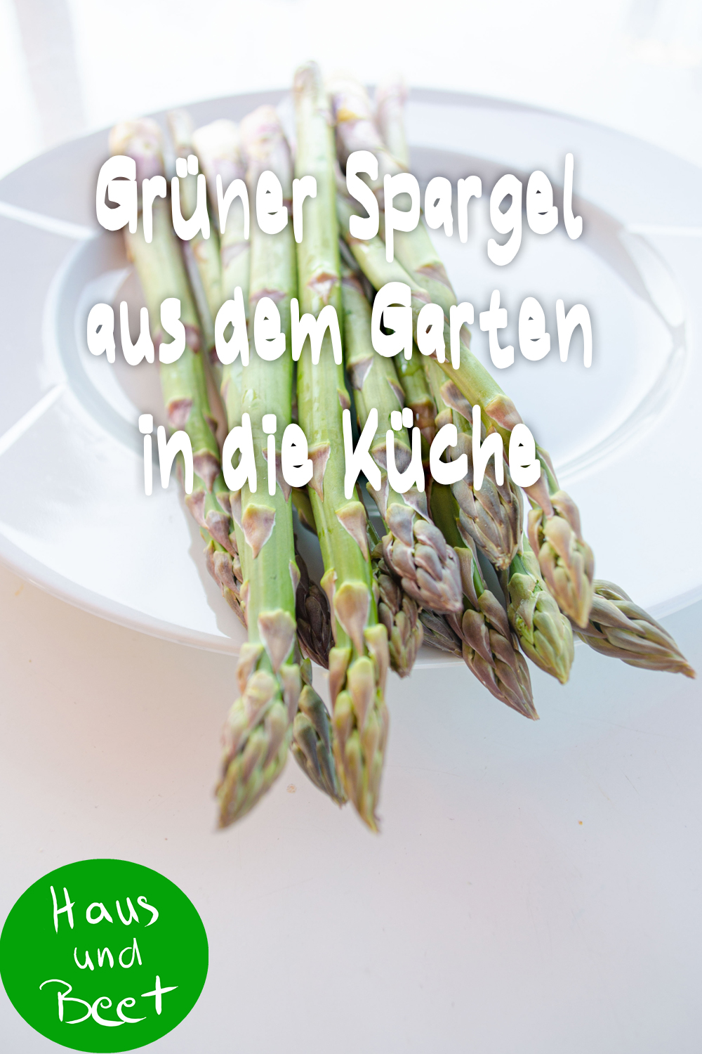 Grüner Spargel in Garten und Zubereitung