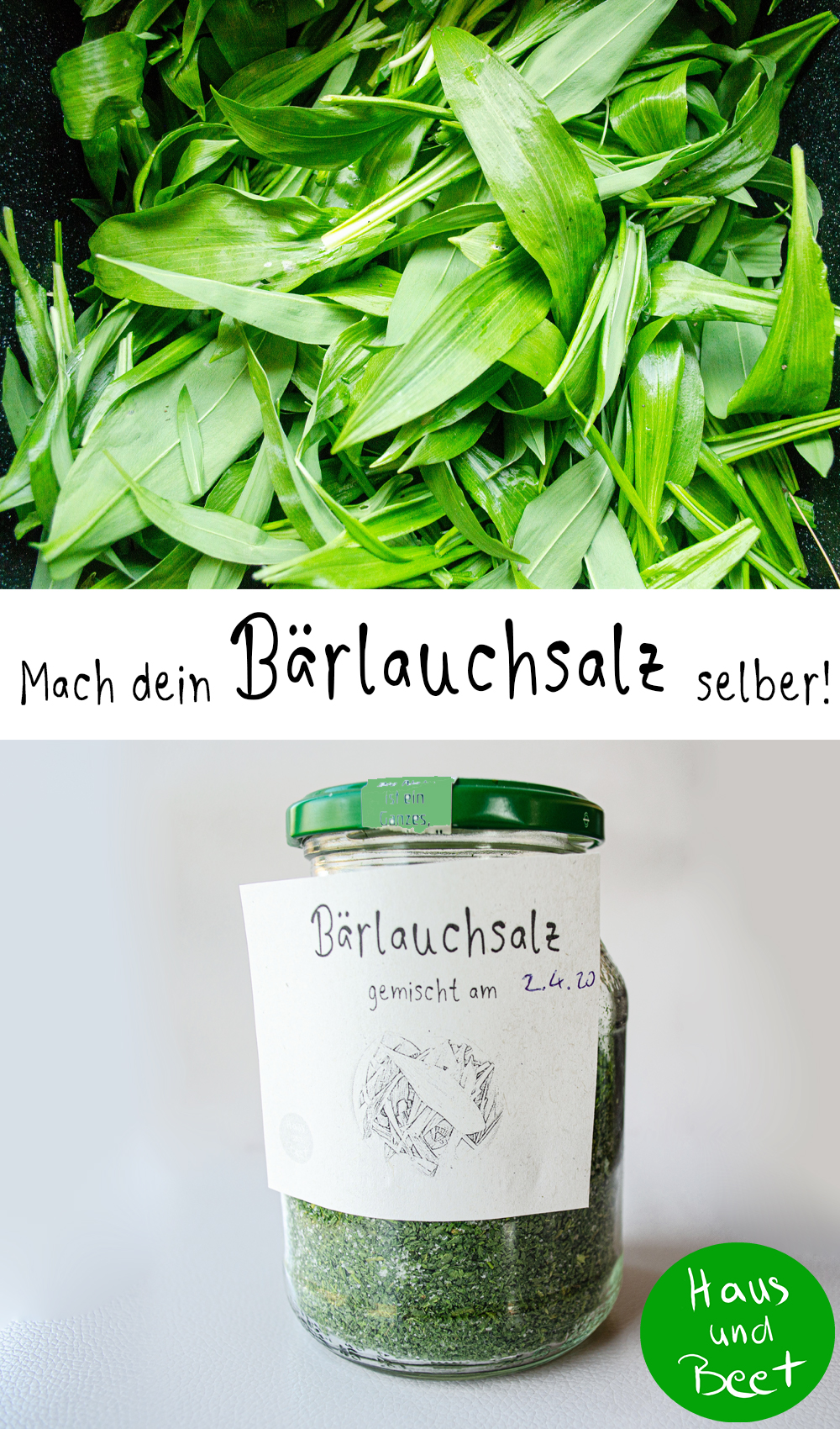 Bärlauchsalz selber machen