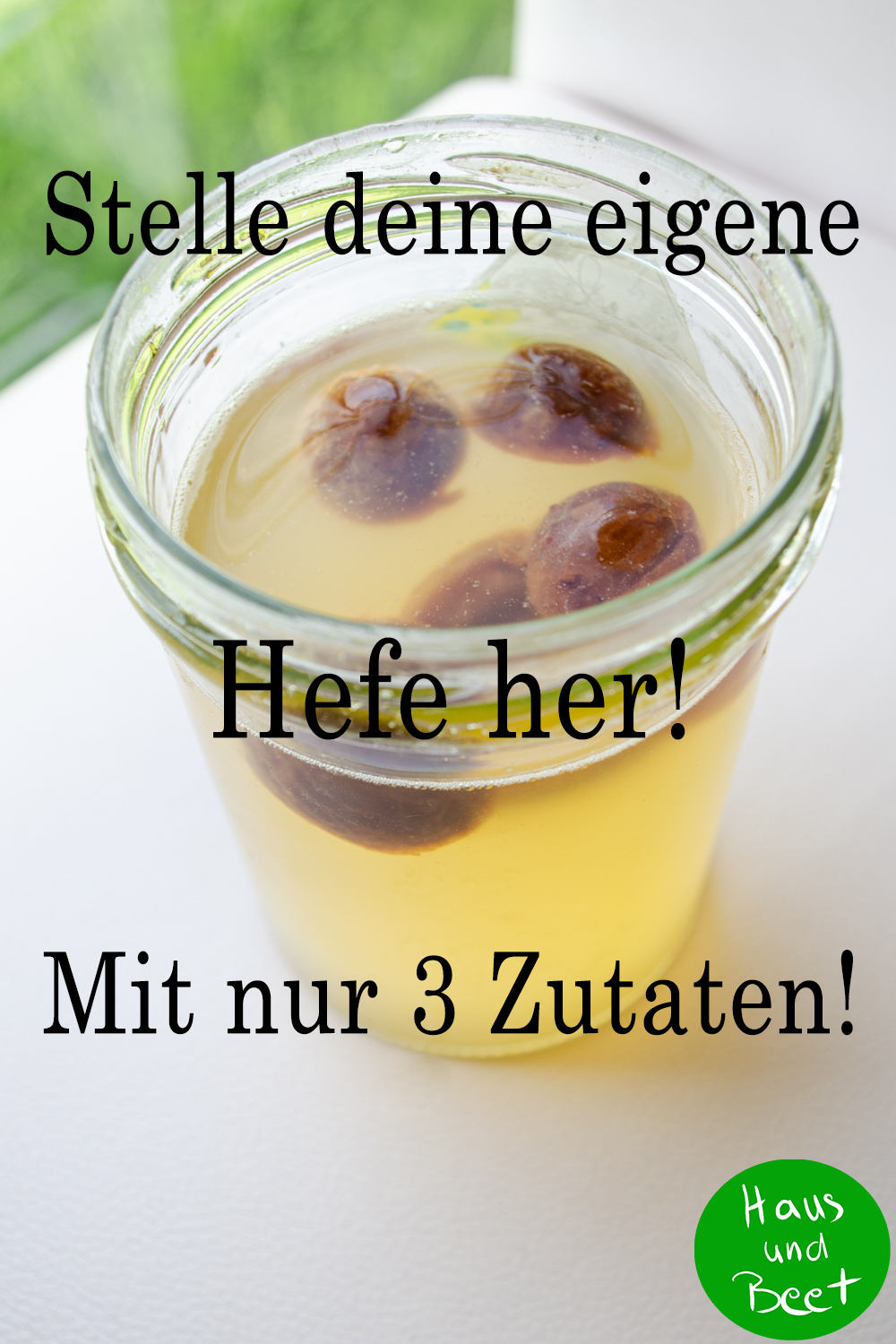 Brot backen ohne Hefe E-Book Pin 4