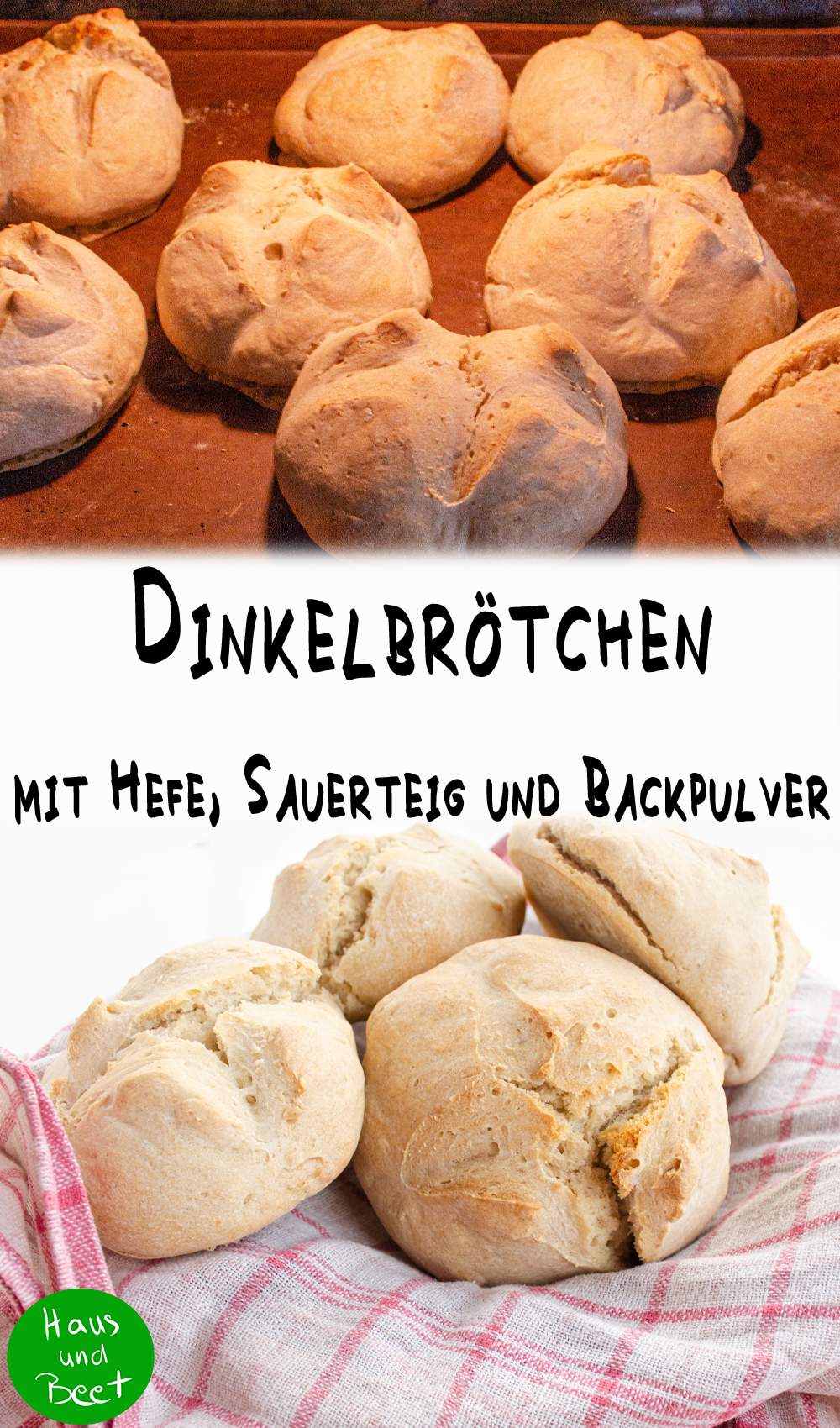 Dinkelbrötchen mit Hefe, Sauerteig, Backpulver