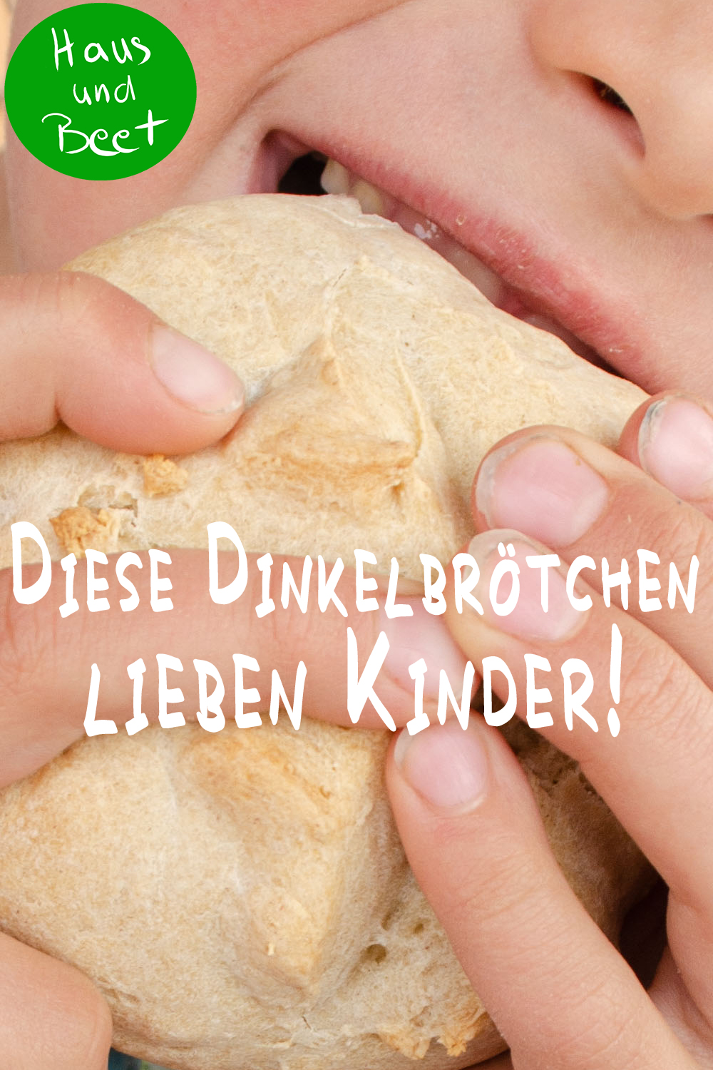 Dinkelbrötchen backen für Kinder und Erwachsene