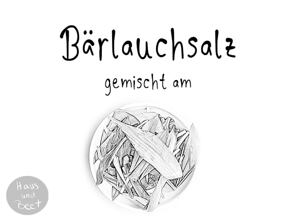 Etikett Bärlauch Salz