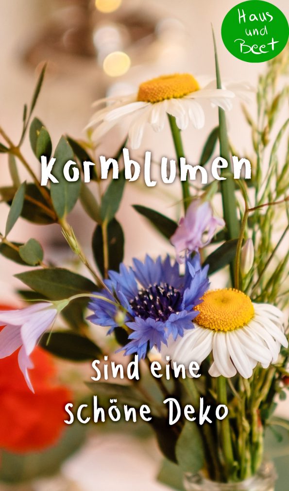 Kornblumen Dekoration zum Beispiel für Hochzeit