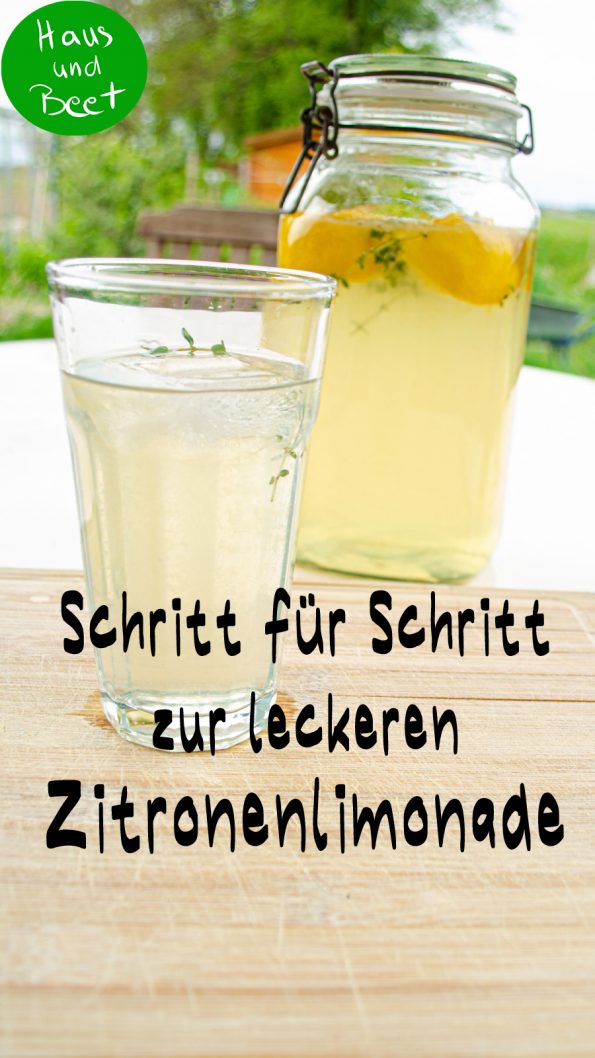 Zitronenlimonade selber machen einfaches Rezept