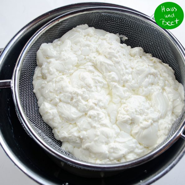 Tomate Mozzarella mit selbstgemachtem Käse