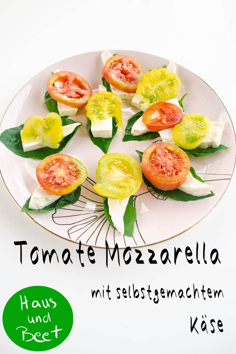 Tomate Mozzarella mit selbstgemachtem Käse