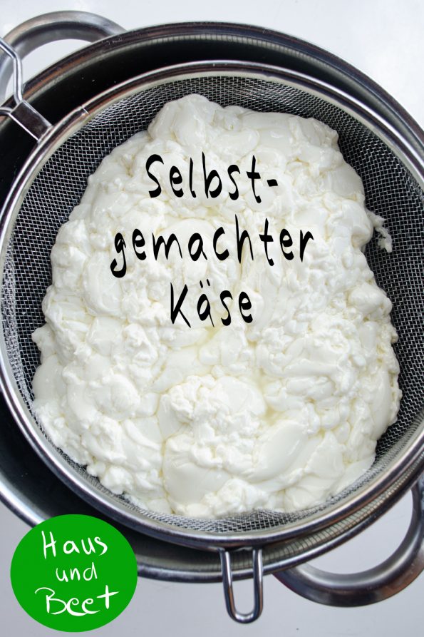 Tomate Mozzarella mit selbstgemachtem Käse