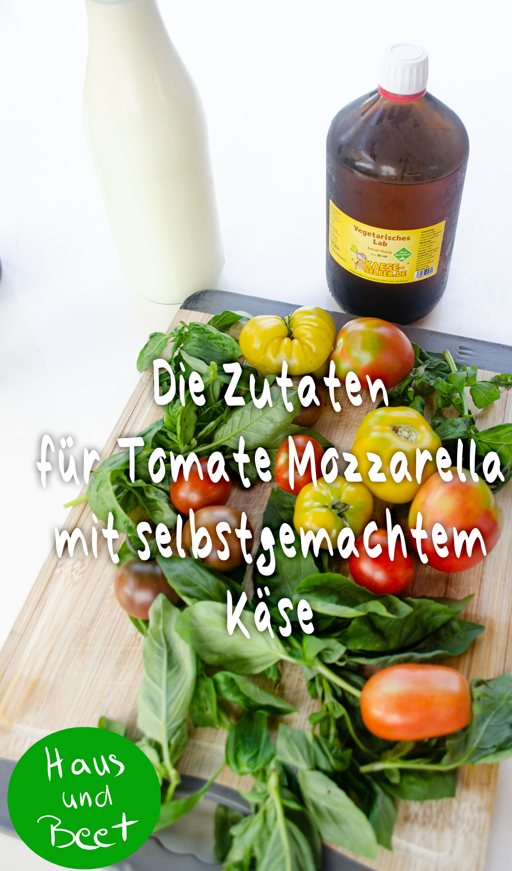 Tomate Mozzarella mit selbstgemachtem Käse