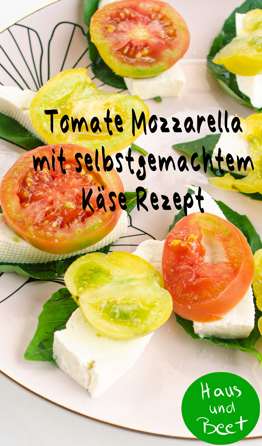 Tomate Mozzarella mit selbstgemachtem Käse