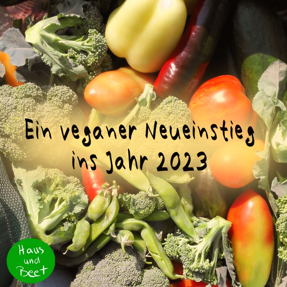 Ein veganer Neueinstieg ins Jahr 2023