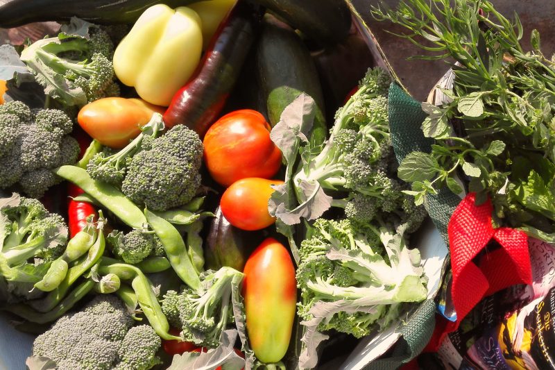 Ein veganer Neueinstieg ins Jahr 2023