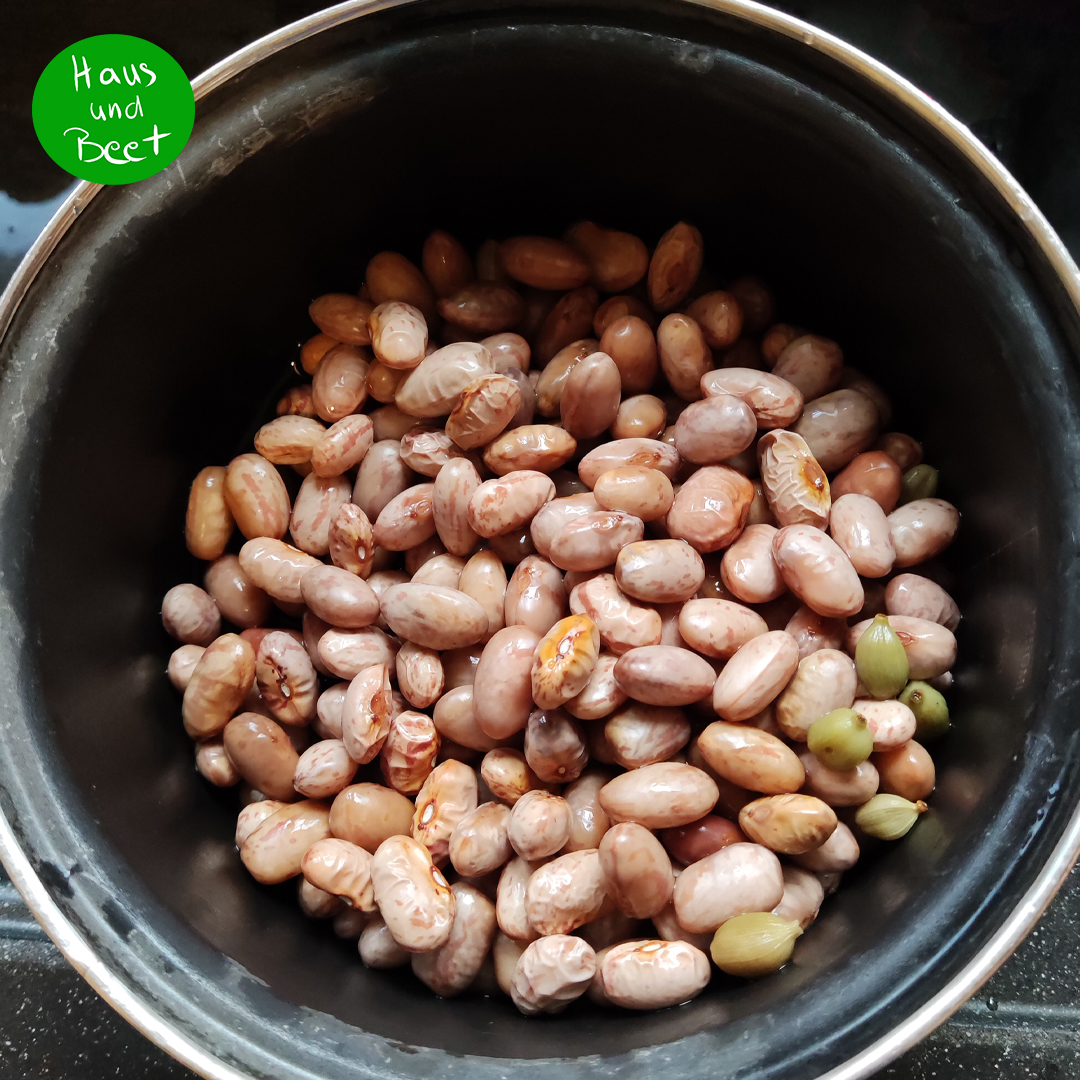 Vegane Gemüsepfanne mit Bohnen